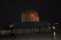 يافا: أحباب الأقصى تُسير حافلات مجاناً لأداء صلاة الفجر في الأقصى السبت